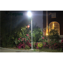 12V 80W 100W LED Tudo em uma luz de rua solar